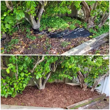 Customer before and after photos of a weeded garden bed