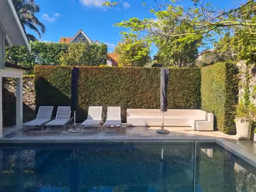 Maintained garden hedges beside a pool in Auckland Central