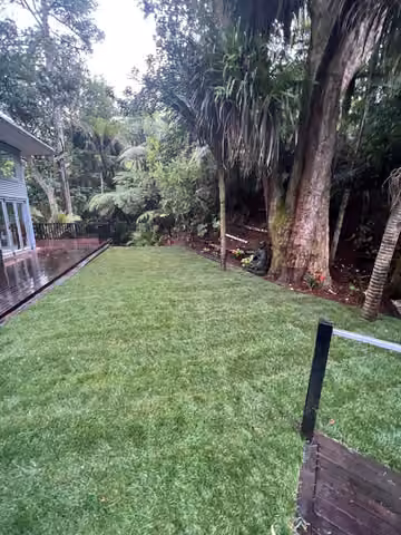 Freshly mown back lawn beside garden borders