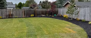 Backyard lawn bordered by garden plants