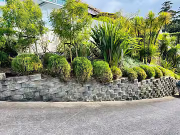 Shaped shrubs and a tidy garden beside a stone wall in Remuera