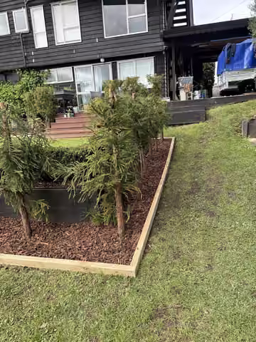 Customer photo of garden beds with mulch and young plants